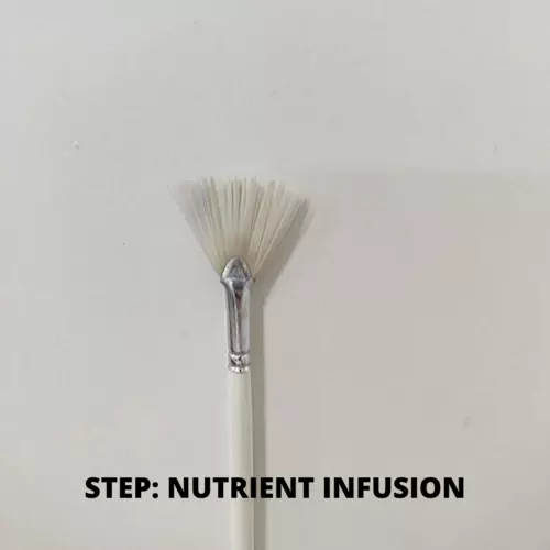 Customized nutrient infusion