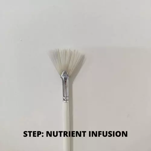 Nutrient infusion